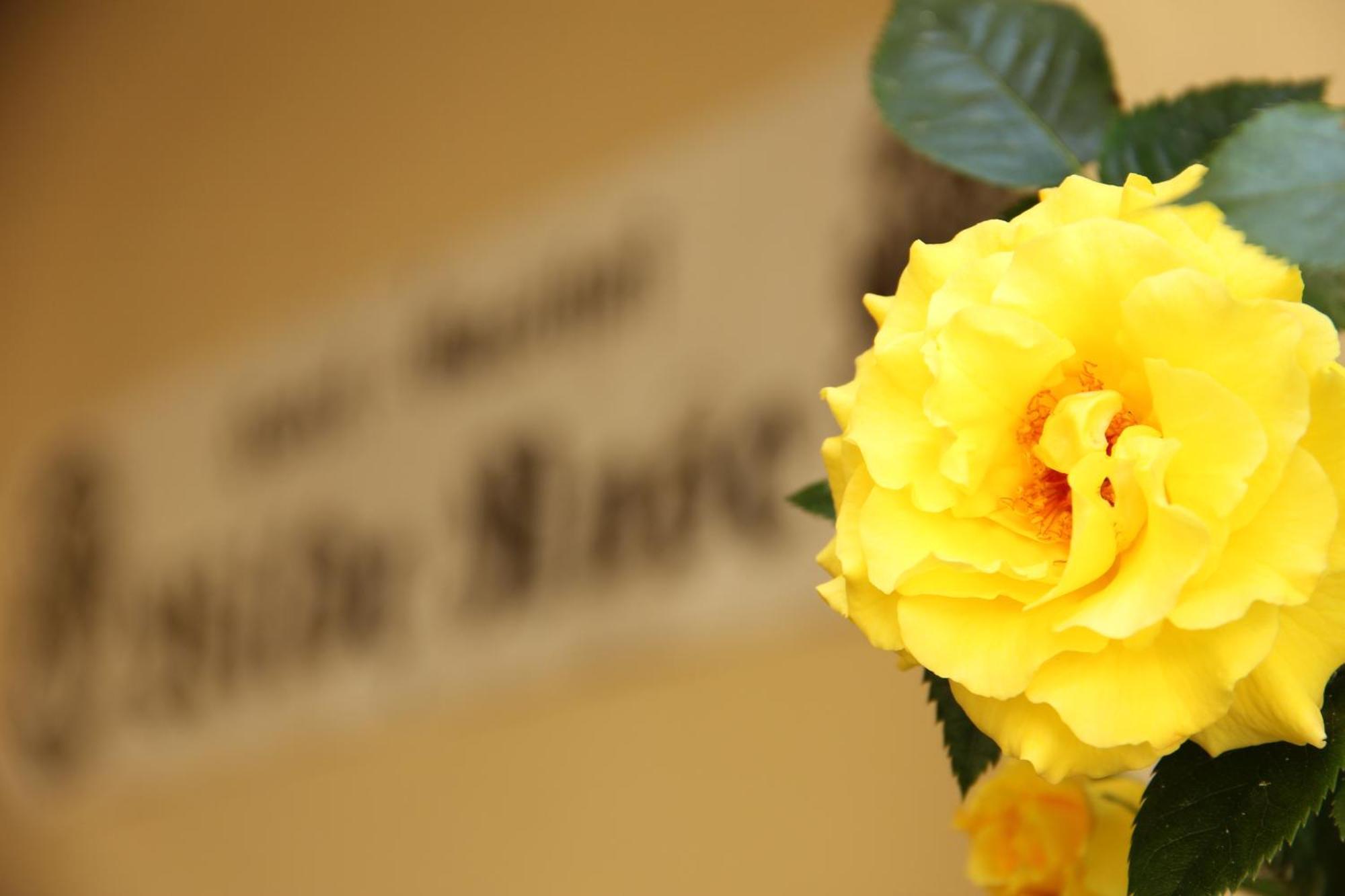 Hotel-gasthof Wilde Rose Hotel Bamberg